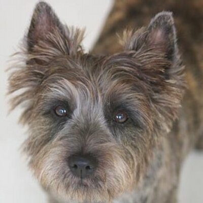 Profile Picture of Steve Czerniak (@senseofsound) on Twitter