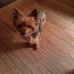 Profile Picture of Dona C. Rogers (@Dona-C-Rogers) on Facebook
