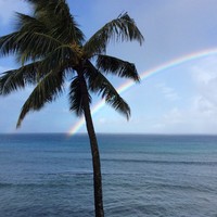 L Cumpiano - Quora Profile Picture of L Cumpiano (@l-cumpiano) on Quora