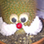 Profile Picture of Heiko_mauermann (@heiko_mauermann) on Flickr
