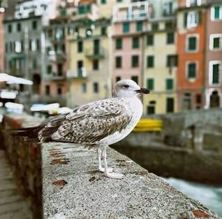 Profile Picture of Huu Chu (@huu.chu.714655) on Facebook