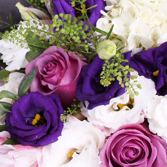 Profile Picture of Sabrina Walach (@sabrinawalach) on Poshmark