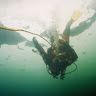 Profile Picture of Matthew McCaffrey (@matthewm2980) on Pinterest