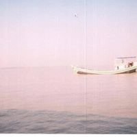 Profile Picture of Dhananjay Pandey (@dhananjay.pandey.73700) on Myspace