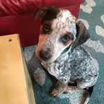 Profile Picture of _winston_richards_ (@_winston_richards_) on Instagram