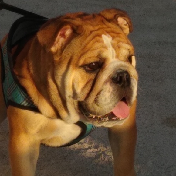 Profile Picture of David Mclean (@davidmclean504) on Poshmark