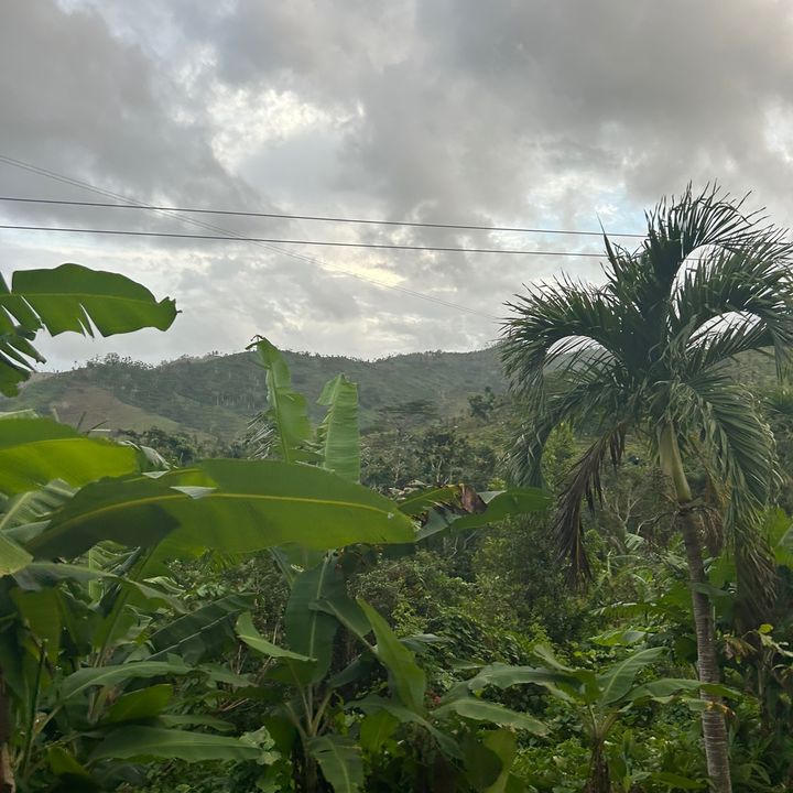 Michelle McGranaghan - Tiktok Profile Picture of Michelle McGranaghan (@michelleeeeemcg) on Tiktok