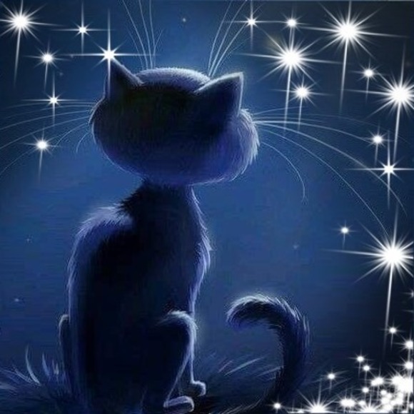 Profile Picture of Patsi Eisenmann (@moonspell3825) on Poshmark