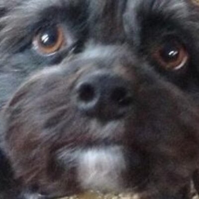 Profile Picture of Max $conover$ (@ConoverMax) on Twitter