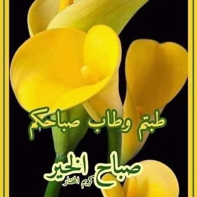 Profile Picture of Mohamad Alhalabi (@Mohamad01958460) on Twitter