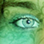 Profile Picture of David & Amy Long (@longhorses) on Flickr