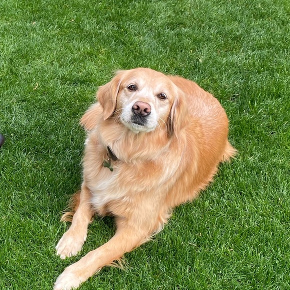 Profile Picture of Alexia Umansky (@alexiaumansky) on Poshmark