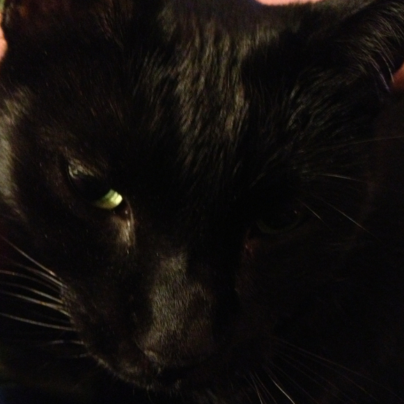 Profile Picture of Jess Albracht (@jessigirl1983) on Poshmark