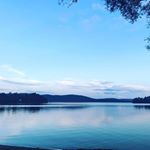 Profile Picture of Ayesha Shaukat (@a_f_shaukat) on Instagram