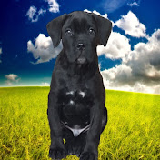 Profile Picture of Мартин-Corso (@Martin-Corso) on Youtube