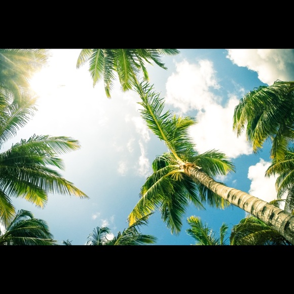 Profile Picture of Taylor Lasagna (@lasagna_girl) on Poshmark