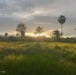 Profile Picture of Sopheap Sok (@Sopheap-Sok) on Facebook