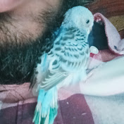 Profile Picture of James Buchanan (@jamesbuchanan3076) on Youtube