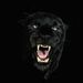 Profile Picture of blackpanther . (@thomaslampkins11) on Pinterest