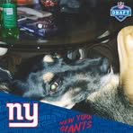 Profile Picture of Eileen Mainelli (@meeko.main) on Facebook