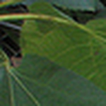 Profile Picture of James Harrison (@caledonian12) on Flickr