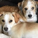 Profile Picture of Dori Holmes (@dori.holmes.3) on Instagram