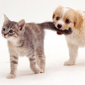 Profile Picture of Drew Holmes (@drewholmes2523) on Youtube