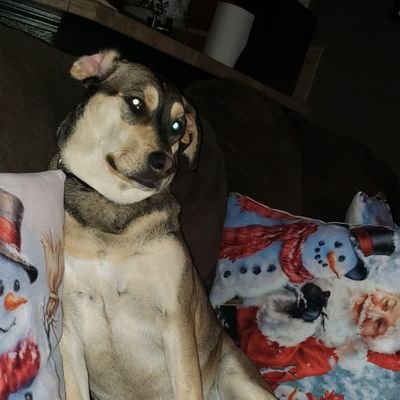 Profile Picture of BDAD (@Nick_Sandman86) on Twitter