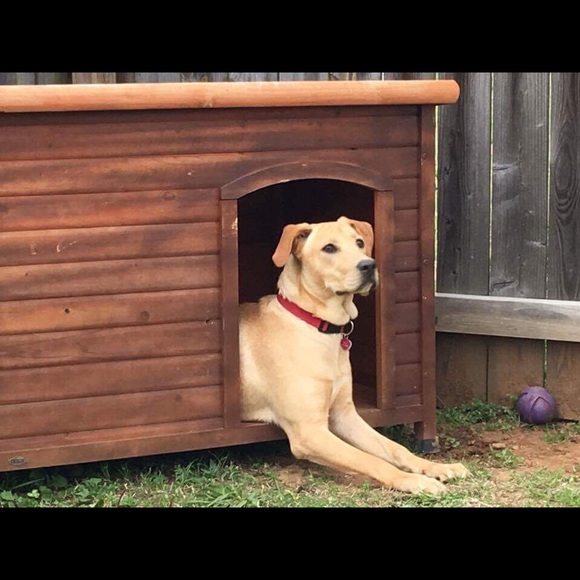 Profile Picture of Selena Acanda (@selenacanda) on Poshmark