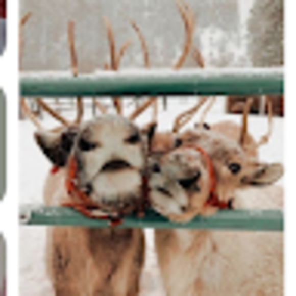 Emma Beckage - Poshmark Profile Picture of Emma Beckage (@emmabeckage116) on Poshmark