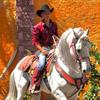 Profile Picture of user8384875885336 (@@cesar_ojeda.911) on Tiktok