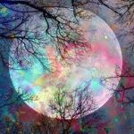 Profile Picture of Suzanne Bailey (@suzanne.bailey) on Instagram