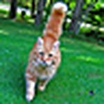 Profile Picture of Eltro (@eltro) on Flickr