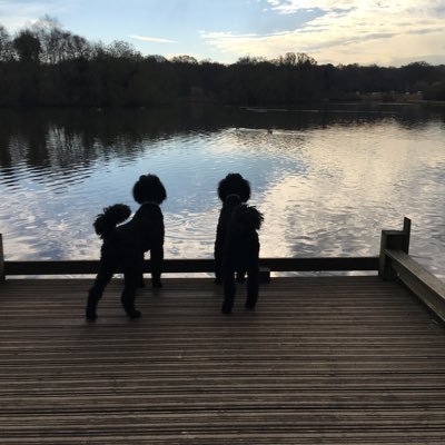 Profile Picture of Michaela Steele (@SteeleMichaela) on Twitter
