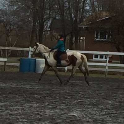 Profile Picture of Olivia Judd (@riding_brunette) on Twitter