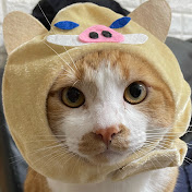 Profile Picture of Joey Sun (@joeysun4475) on Youtube
