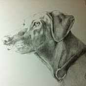 Profile Picture of Bruce Alexander (@brucealexander7889) on Youtube