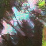 Profile Picture of alex wiley (@yeliwxela) on Instagram