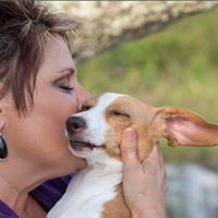 Profile Picture of Robin Ferron (@robin-ferron) on Quora
