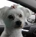 Profile Picture of Colleen Grose (@colleen.grose.7) on Facebook