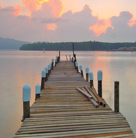 Profile Picture of Samantha Dyal (@samanthdyal) on Poshmark