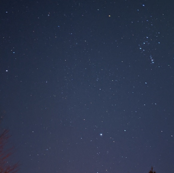 Profile Picture of Tara Sigrist (@tsiggg) on Poshmark