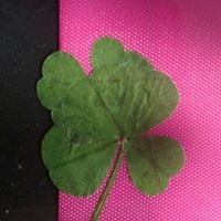 Profile Picture of Carly Carter (@carly-carter-17) on Quora