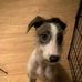 Profile Picture of Eugene Reggio (@eugene.reggio.7) on Facebook