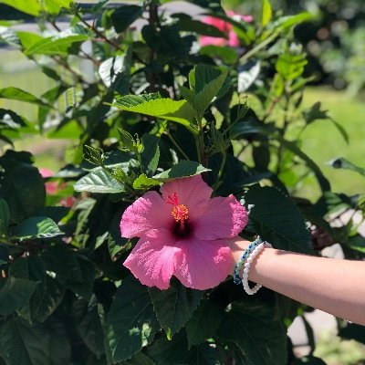 Profile Picture of Lani Wright (@LaniWright0) on Twitter