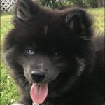 Profile Picture of Sean Conover (@awkwardtwos) on Instagram