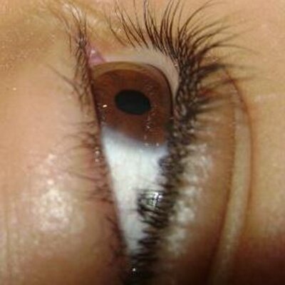 JoSé Ignacio - Twitter Profile Picture of JoSé Ignacio (@JoSIgna02124680) on Twitter