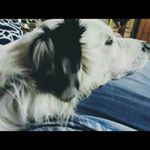 Profile Picture of gaspar suarez (@gaspar_suareez) on Instagram