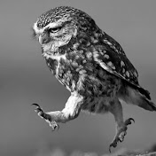 Profile Picture of Al Clark (@alclark5830) on Youtube