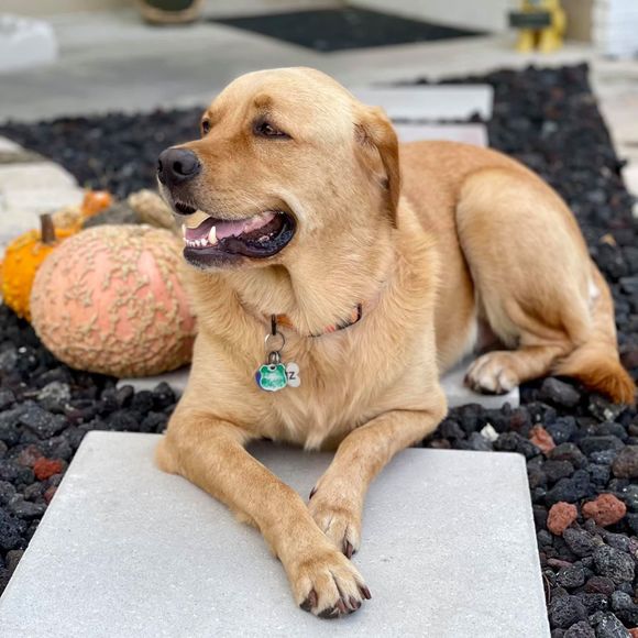 Profile Picture of Larry Arfmann (@larfmann) on Poshmark